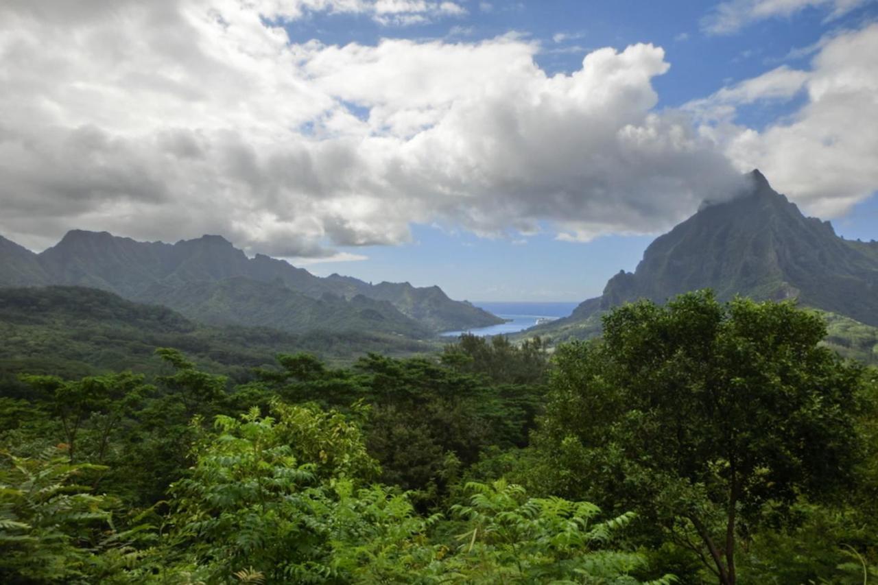 דירות Haapiti Auti Studio Direct Access To The Beach On Moorea With Ac -Wifi - Netflix מראה חיצוני תמונה