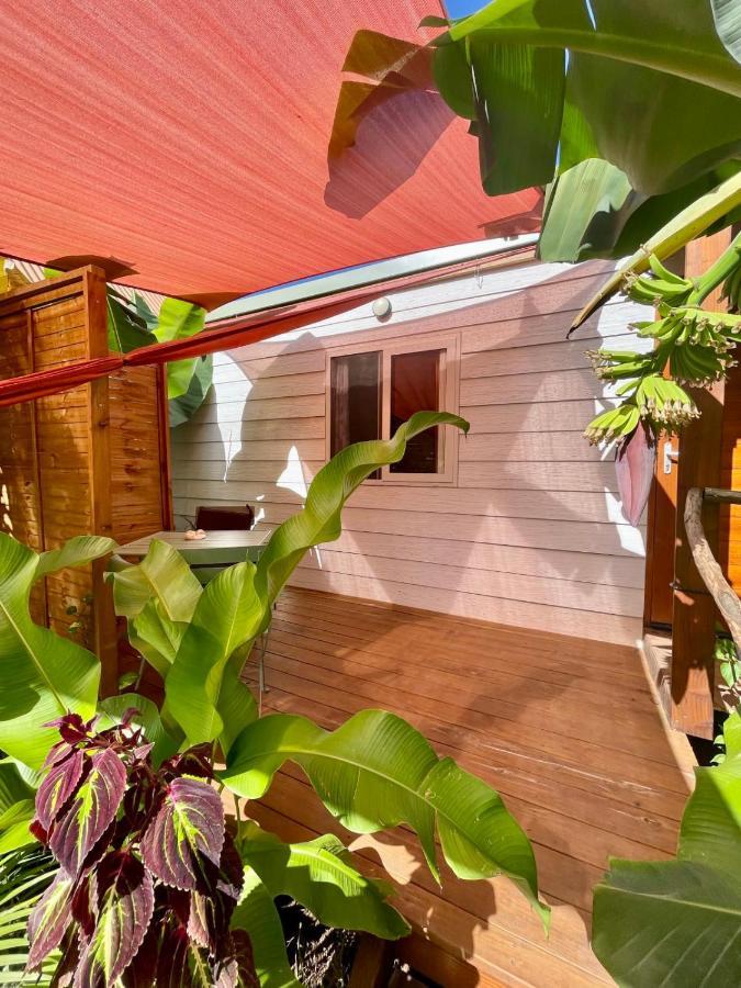 דירות Haapiti Auti Studio Direct Access To The Beach On Moorea With Ac -Wifi - Netflix מראה חיצוני תמונה