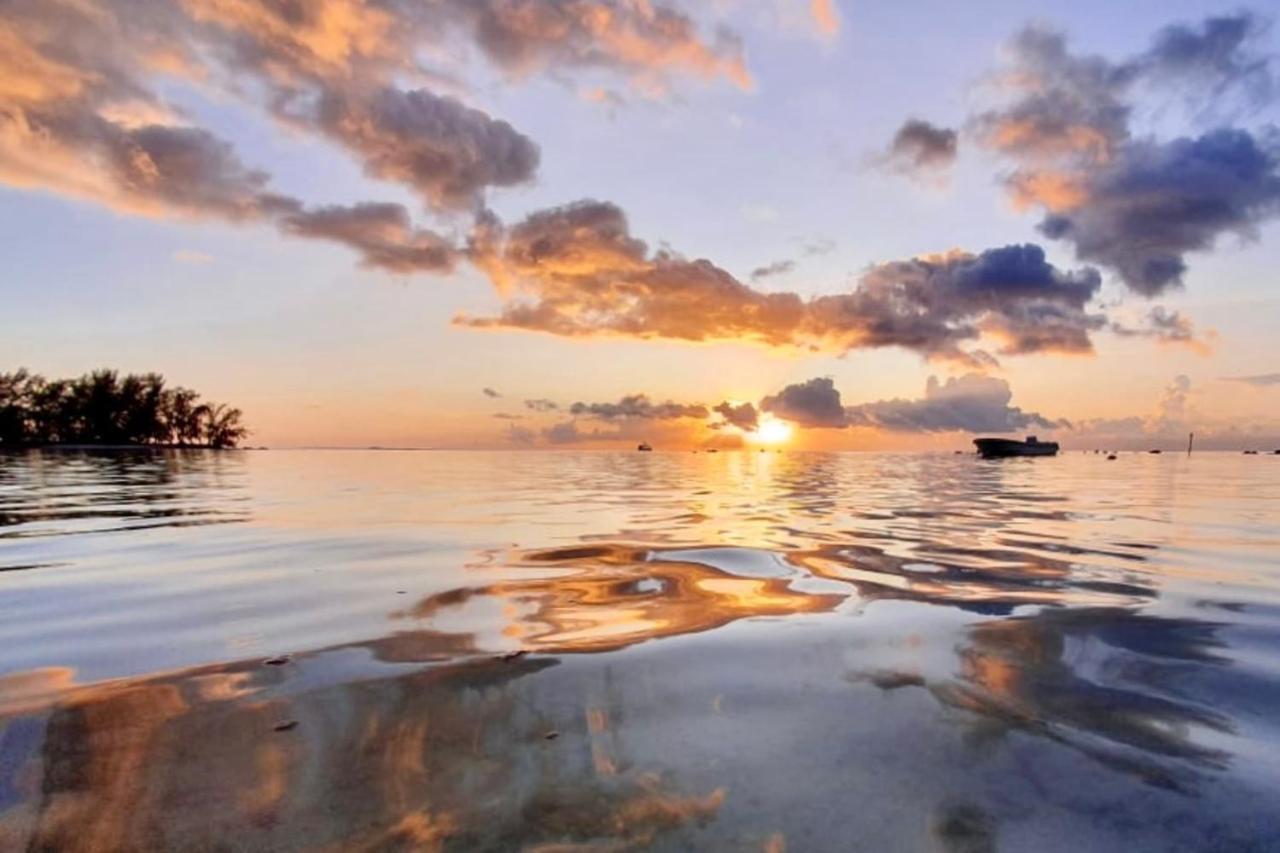 דירות Haapiti Auti Studio Direct Access To The Beach On Moorea With Ac -Wifi - Netflix מראה חיצוני תמונה